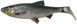 Силікон Savage Gear 3D LB River Roach 220mm 125.0g Green Silver (поштучно) 18542531 фото
