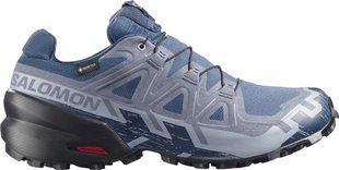 Кроссовки Salomon SPEEDCROSS 6 GTX 7 Spellbound/Black 110178 фото