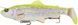 Силикон Savage Gear 4D Line Thru Rattle Trout S 275mm 258.0g Lemon Trout (поштучно) 18541645 фото