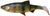 Силікон Savage Gear 3D LB River Roach 220mm 125.0g Perch (поштучно) 18541503 фото
