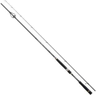 Спінінг Nissin Ares Dreams Yumeoi Torzite RV DRYO-RV906ML 9&rsquo;6"/2.90m 2.5-4.0 Egi 17030007 фото