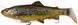 Силикон Savage Gear 4D Line Thru Rattle Trout S 275mm 258.0g Brown Trout UV (поштучно) 18541646 фото