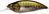 Воблер Megabass Big-M 4.0 F 126mm 56.0g GG Largemouth 26592619 фото
