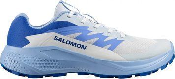 Кросівки Salomon ALPHAGLIDE 4 Women Ancientwater/Brunnerablue 110341 фото