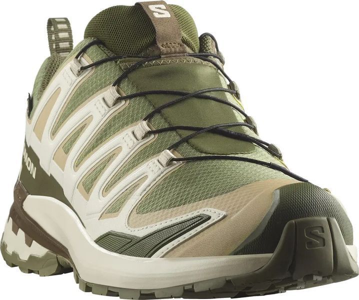 Кросівки Salomon XA PRO 3D V9 GTX 6.5 Deeplichengreen/Safari 110224 фото