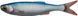 Силикон Savage Gear Craft Dying Minnow 100mm 5.5g Blue Pearl (5 шт/уп) 18541226 фото 1
