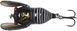 Воблер Savage Gear 3D Cicada F 33mm 3.5g Black 18541162 фото 1