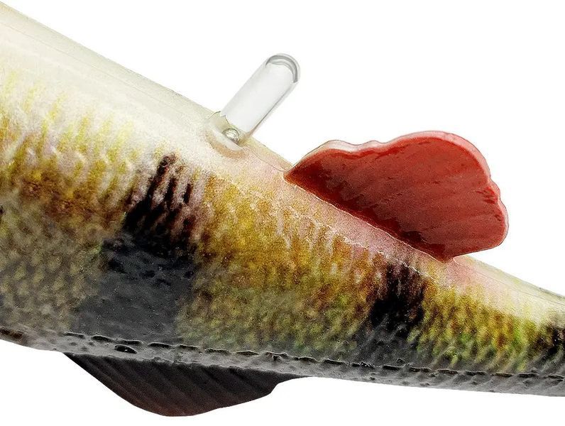Силікон Savage Gear 4D Perch Shad 125mm 20.0g Firetiger (поштучно) (поштучно) 18542433 фото