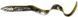 Силікон Savage Gear 3D Real Eel Loose Body 150mm 12.0g Lamprey PHP (поштучно) 18542440 фото