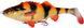 Силикон Savage Gear 4D Perch Shad SS 175mm 67.0g #03 Albino (поштучно) 18540710 фото