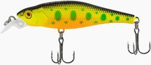 Воблер X-Fish Dude 70SP 70mm 6.5g #163 (0.6-1.5m) 19170273 фото