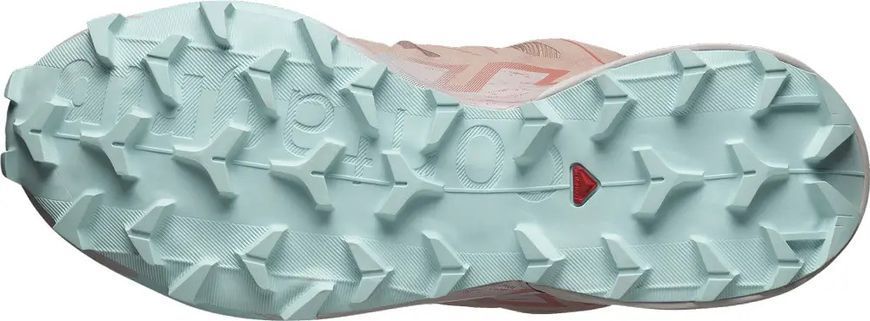Кроссовки Salomon SPEEDCROSS 6 4 Women Mahoganyrose/Hushedviolet 110169 фото